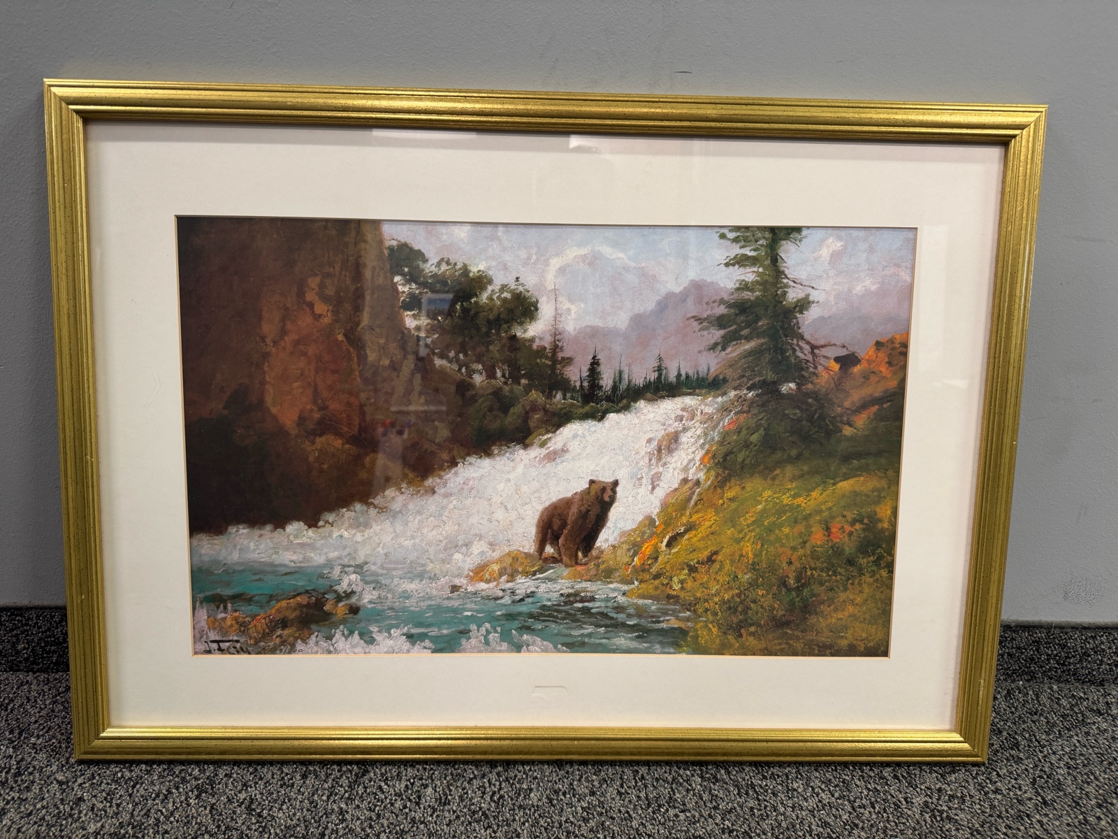 Bear Fishing a Raging Rapid
